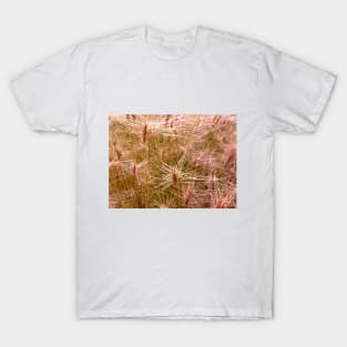 Wild wheat at the Worlds End. T-Shirt